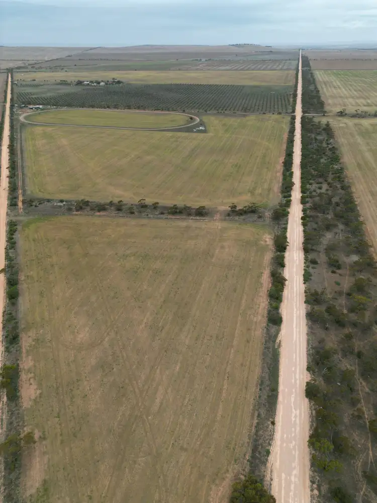 Main view of Homely rural property listing, 746 Railway Line Road, Beaufort SA 5550