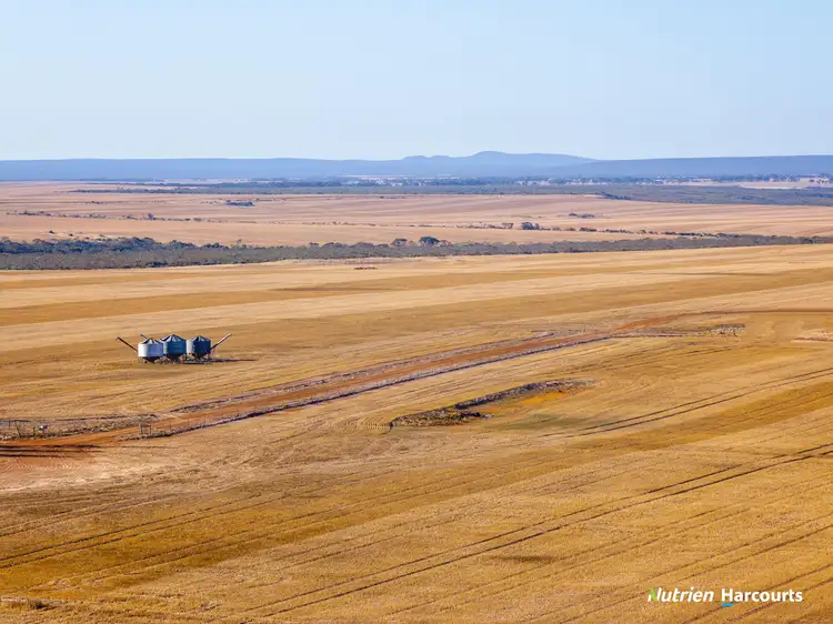 Fourth view of Homely rural property listing, 830 Springdale Road, Hopetoun WA 6348