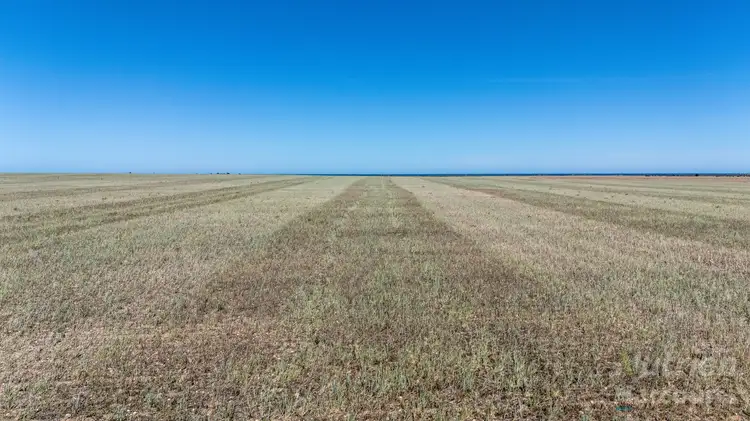 Main view of Homely rural property listing, Lot 294 Gun Club Road, Koolywurtie SA 5575