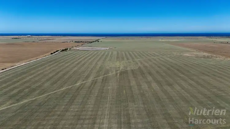 Second view of Homely rural property listing, Lot 294 Gun Club Road, Koolywurtie SA 5575
