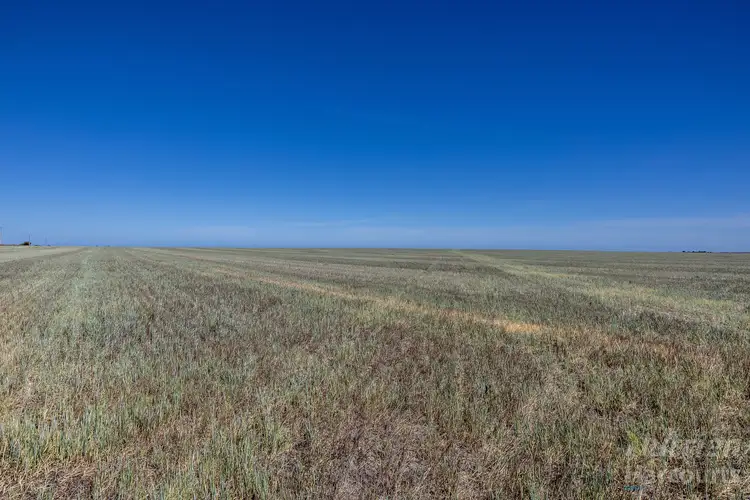Third view of Homely rural property listing, Lot 294 Gun Club Road, Koolywurtie SA 5575
