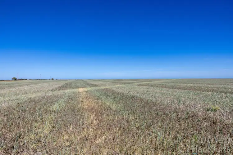 Fourth view of Homely rural property listing, Lot 294 Gun Club Road, Koolywurtie SA 5575