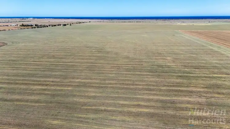 Fifth view of Homely rural property listing, Lot 294 Gun Club Road, Koolywurtie SA 5575