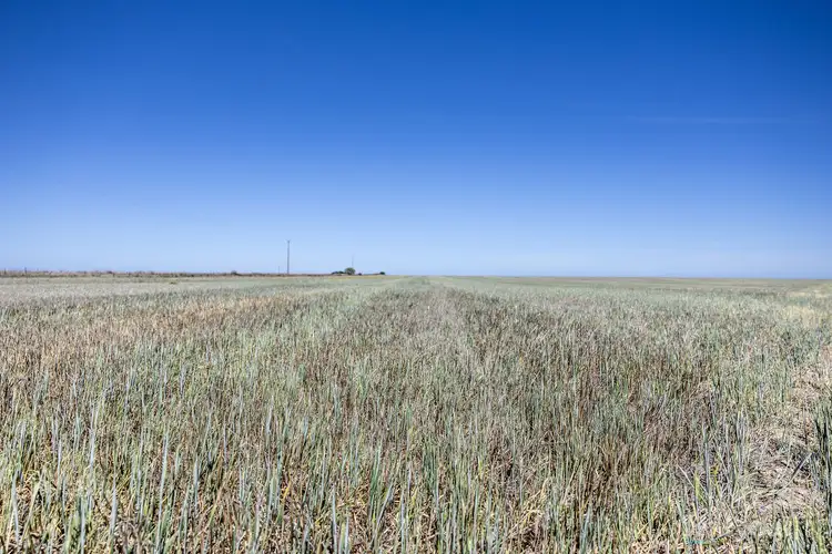 Sixth view of Homely rural property listing, Lot 294 Gun Club Road, Koolywurtie SA 5575