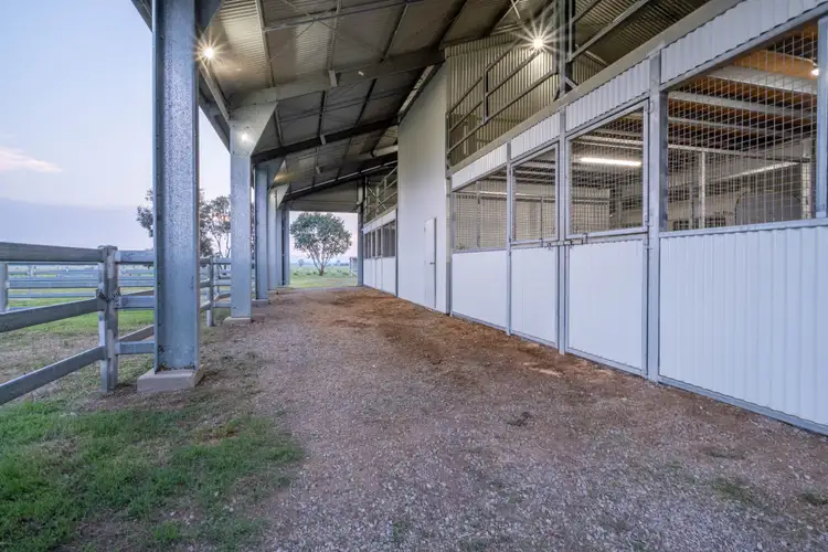 Fifth view of Homely rural property listing, 'Nundah' 8456 Kamilaroi Hwy, Gunnedah NSW 2380