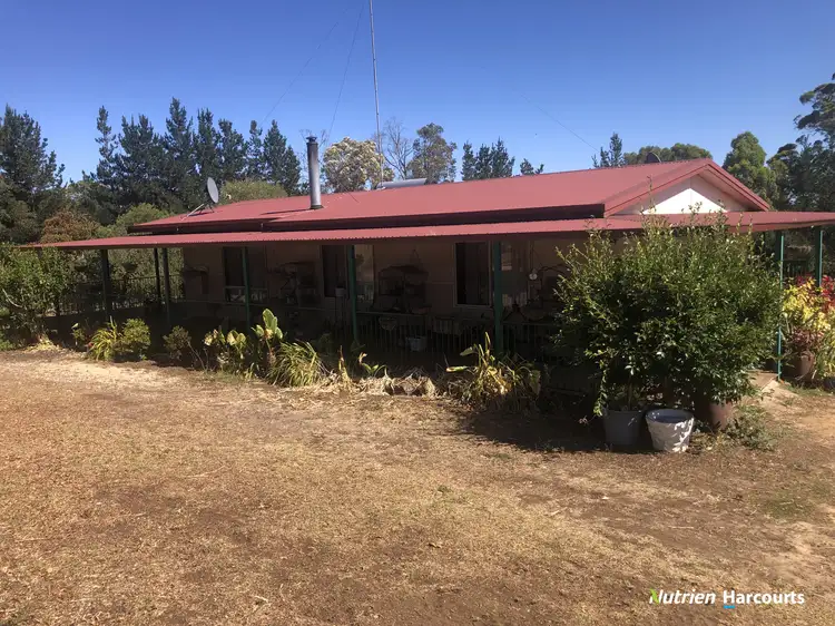 14 Lefroy Road