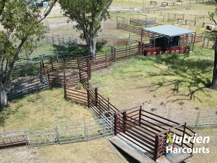 Sixth view of Homely rural property listing, 1827 Boort-Koi Road, Hookswood QLD 4415