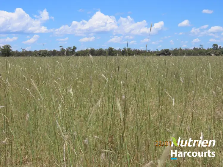 Seventh view of Homely rural property listing, 1827 Boort-Koi Road, Hookswood QLD 4415