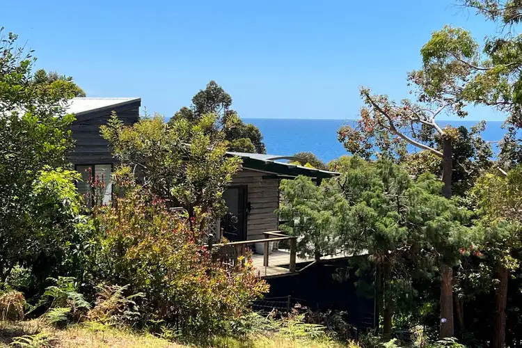 Fifth view of Homely house listing, 38 Treloggen Drive, Binalong Bay TAS 7216