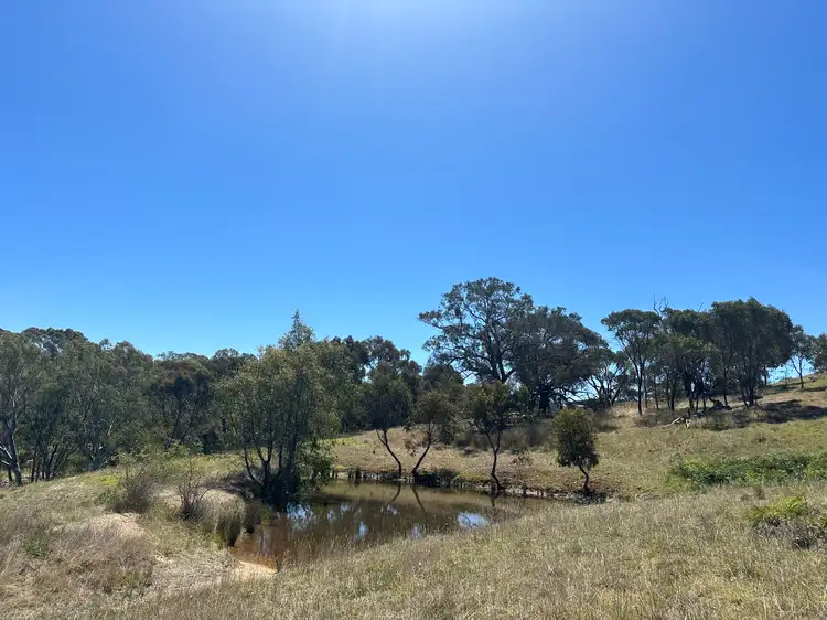 Main view of Homely rural property listing, 166 Shaws Road, Gobur VIC 3719
