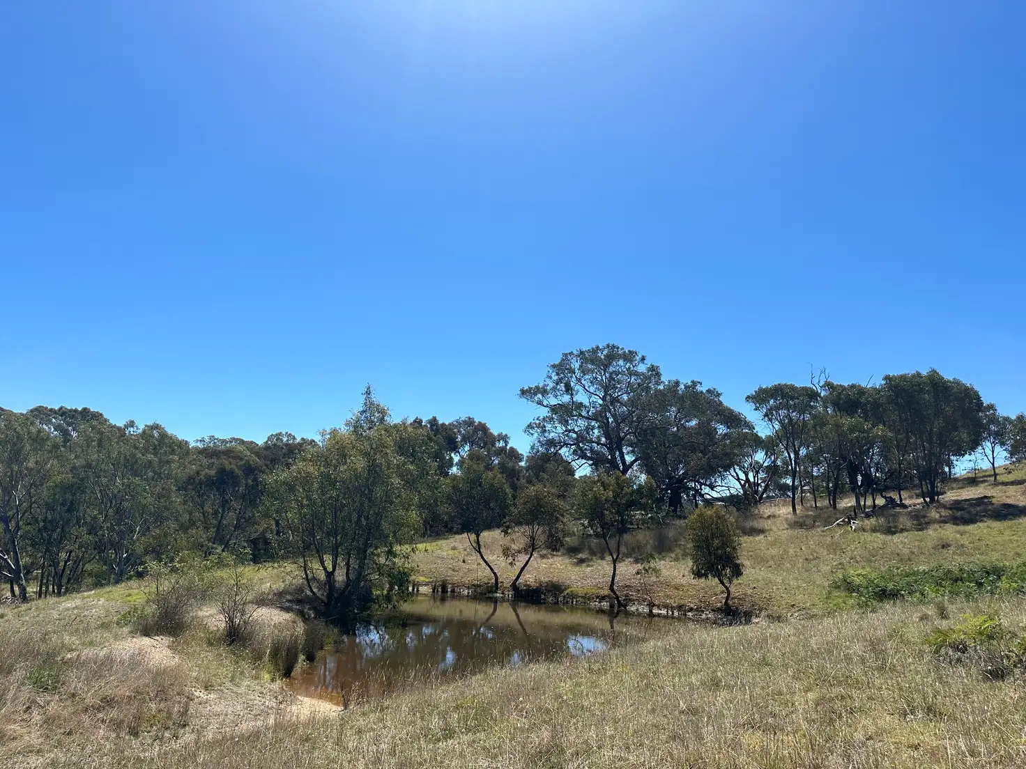 Main view of Homely rural property listing, 166 Shaws Road, Gobur VIC 3719