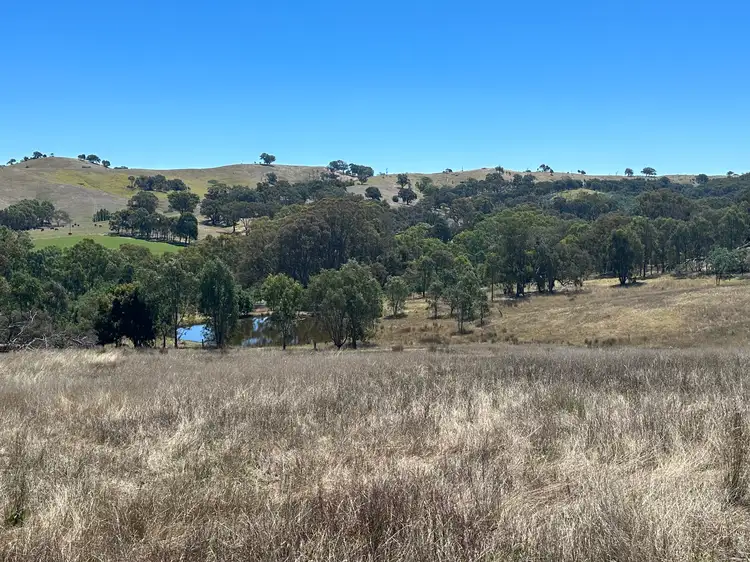 Second view of Homely rural property listing, 166 Shaws Road, Gobur VIC 3719