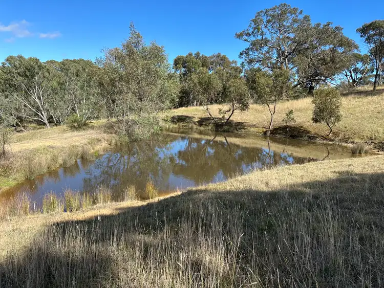 Fifth view of Homely rural property listing, 166 Shaws Road, Gobur VIC 3719