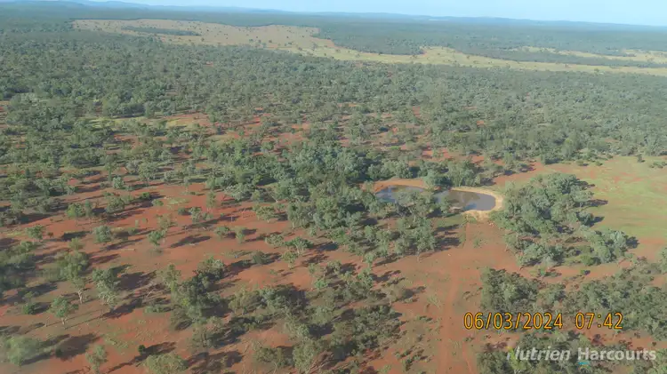 Third view of Homely rural property listing, * Rosevale Station, 4126 Rosevale Road, Canbelego NSW 2835