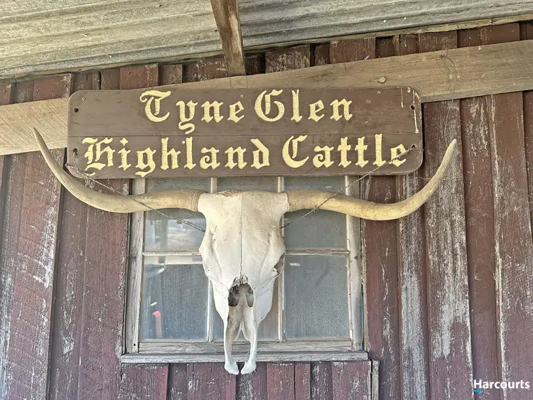 Fourth view of Homely house listing, 721 Tyne Road, Mathinna TAS 7214