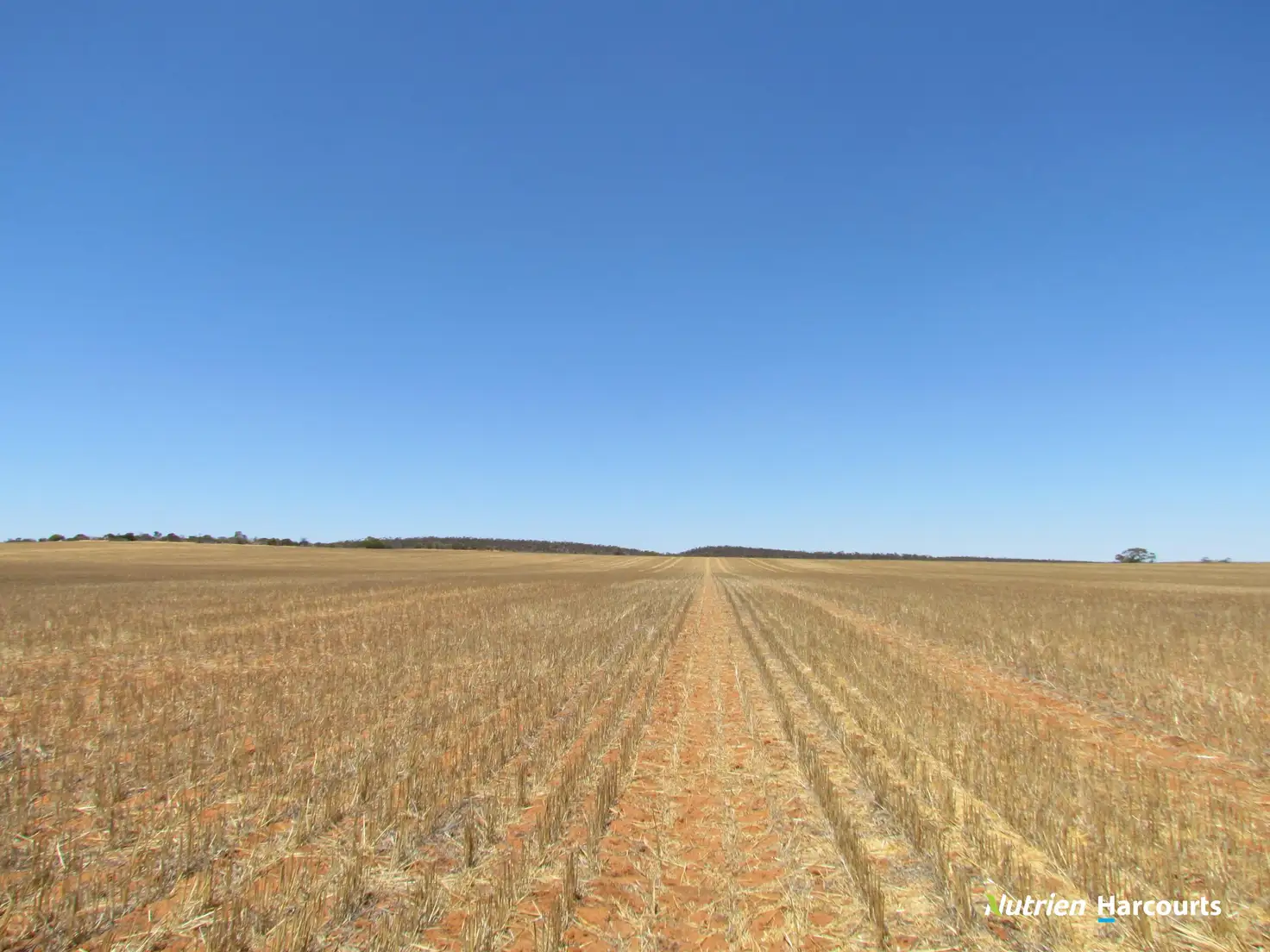 Main view of Homely rural property listing, . KIAMA DOWNS, 1829 Peter Road, Ambania WA 6632