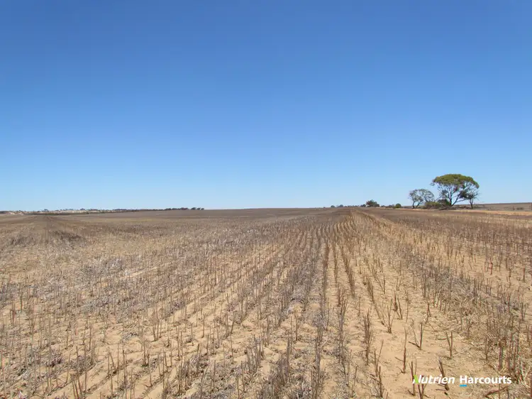 Second view of Homely rural property listing, . KIAMA DOWNS, 1829 Peter Road, Ambania WA 6632