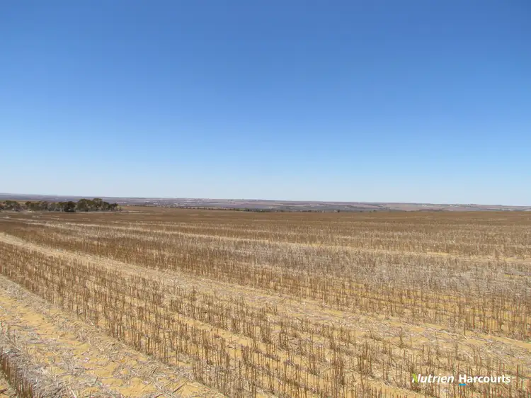 Fourth view of Homely rural property listing, . KIAMA DOWNS, 1829 Peter Road, Ambania WA 6632