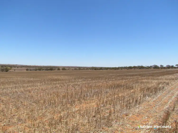 Fifth view of Homely rural property listing, . KIAMA DOWNS, 1829 Peter Road, Ambania WA 6632