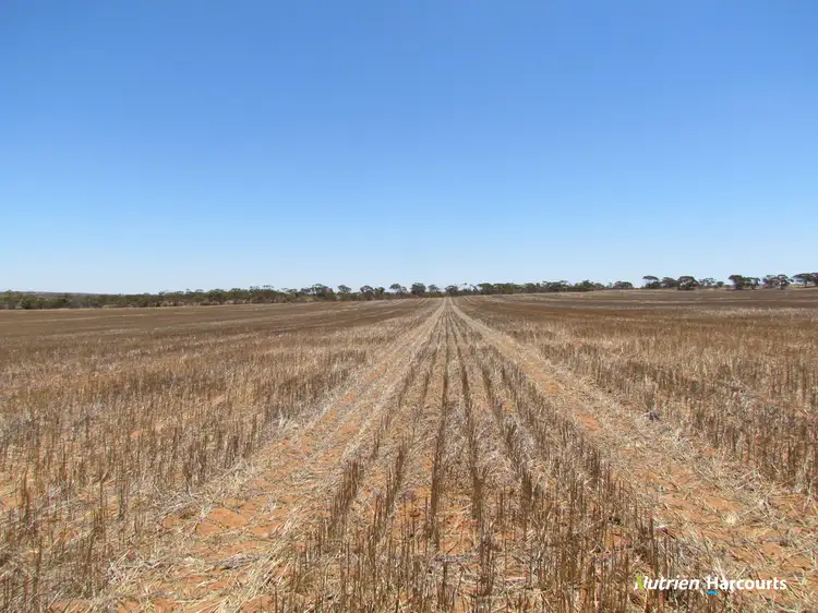 Sixth view of Homely rural property listing, . KIAMA DOWNS, 1829 Peter Road, Ambania WA 6632