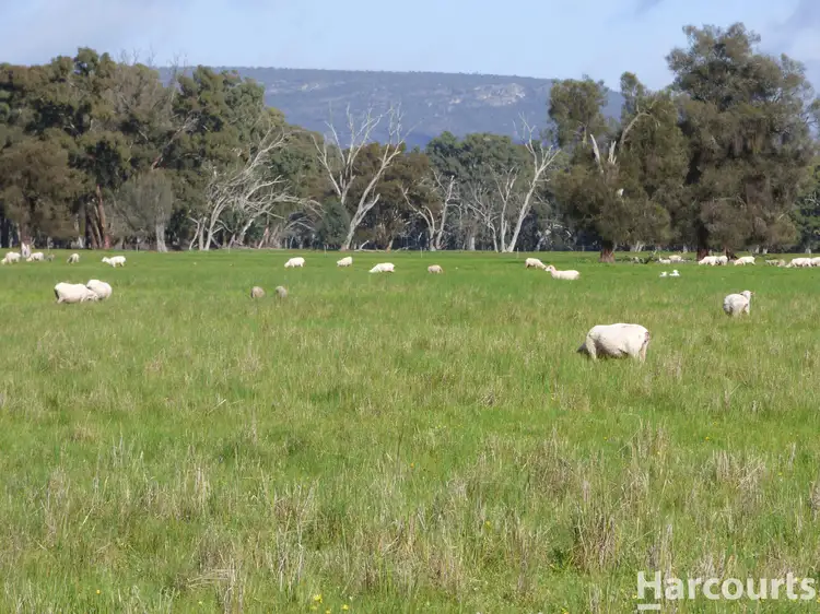 Main view of Homely rural property listing, 28 Jackmans Road, Dadswells Bridge VIC 3385