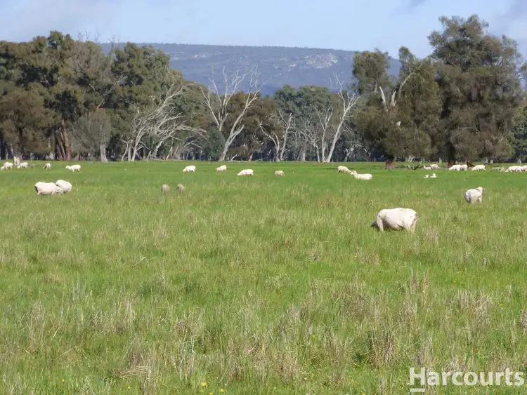 Second view of Homely rural property listing, 28 Jackmans Road, Dadswells Bridge VIC 3385