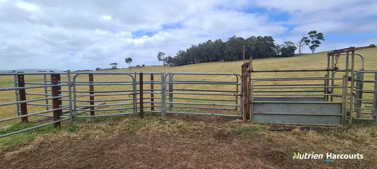 Fifth view of Homely rural property listing, 2506 Lower Denmark Road, Kronkup WA 6330