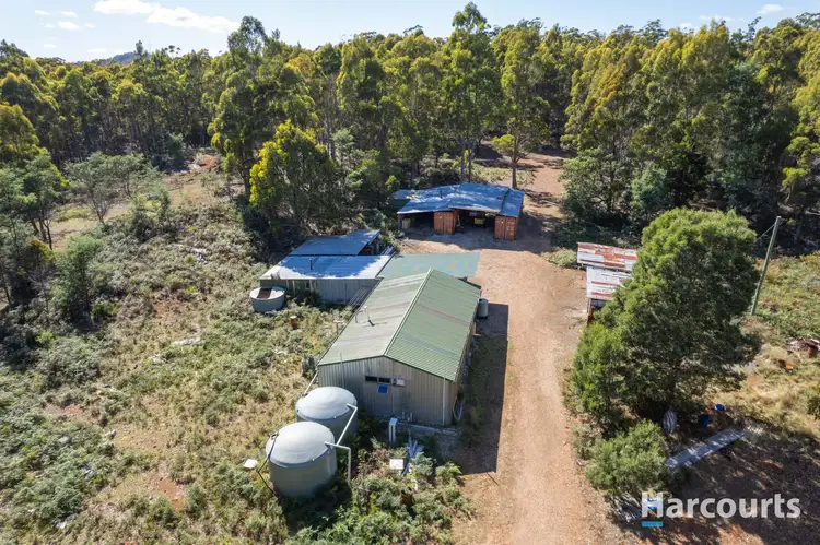 Main view of Homely house listing, 99 Silver Wattle Drive, Reedy Marsh TAS 7304