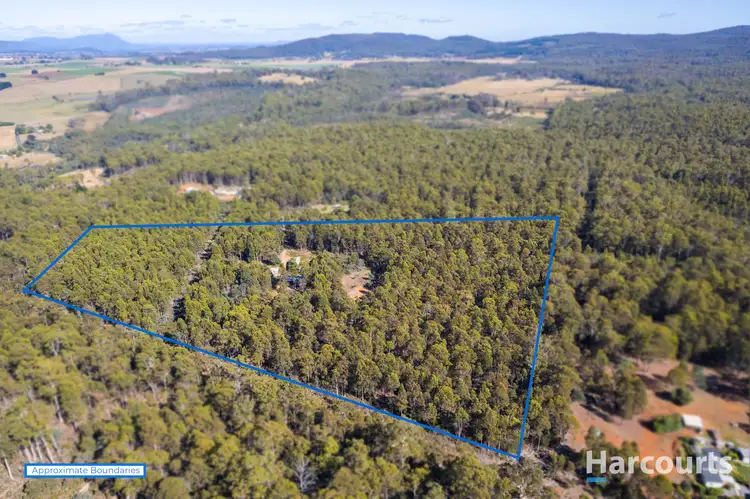 Second view of Homely house listing, 99 Silver Wattle Drive, Reedy Marsh TAS 7304