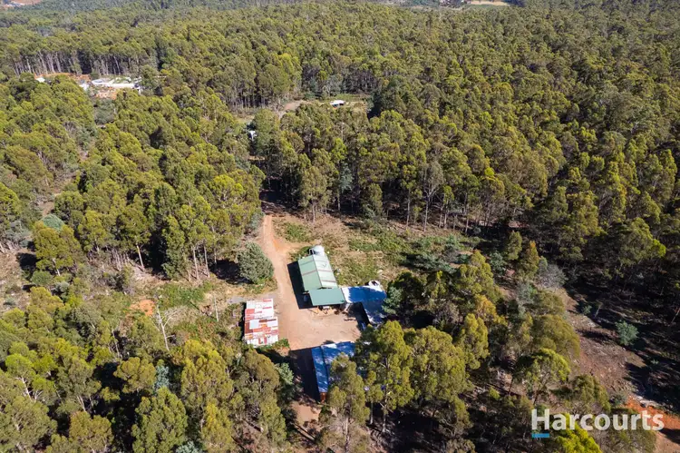 Third view of Homely house listing, 99 Silver Wattle Drive, Reedy Marsh TAS 7304