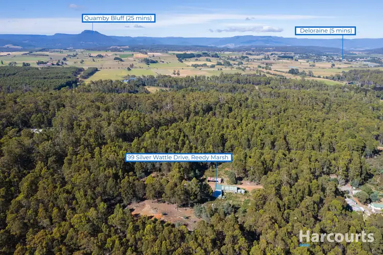 Fourth view of Homely house listing, 99 Silver Wattle Drive, Reedy Marsh TAS 7304
