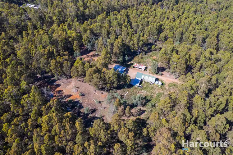 Fifth view of Homely house listing, 99 Silver Wattle Drive, Reedy Marsh TAS 7304