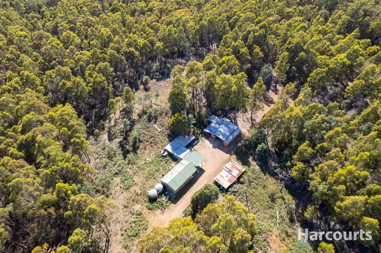 Sixth view of Homely house listing, 99 Silver Wattle Drive, Reedy Marsh TAS 7304