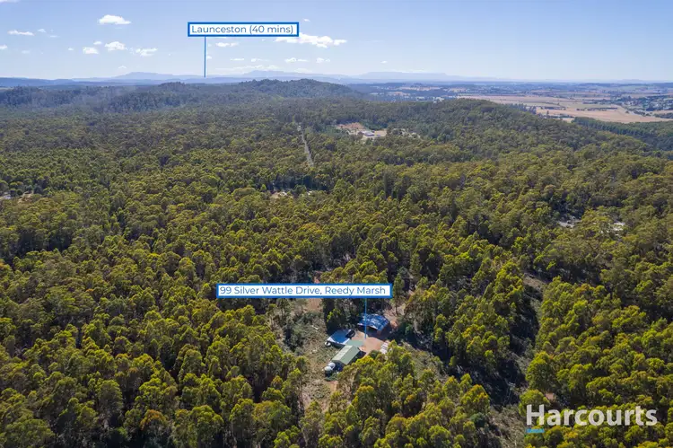 Seventh view of Homely house listing, 99 Silver Wattle Drive, Reedy Marsh TAS 7304