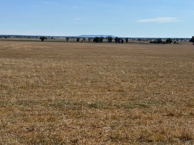 Second view of Homely rural property listing, . Albury Road, Lockhart NSW 2656