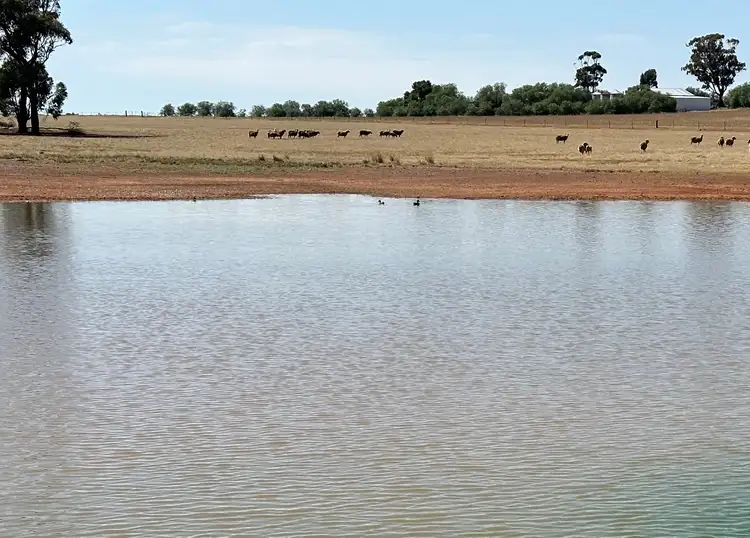 Fourth view of Homely rural property listing, . Albury Road, Lockhart NSW 2656