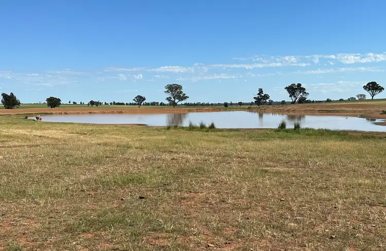 Fifth view of Homely rural property listing, . Albury Road, Lockhart NSW 2656