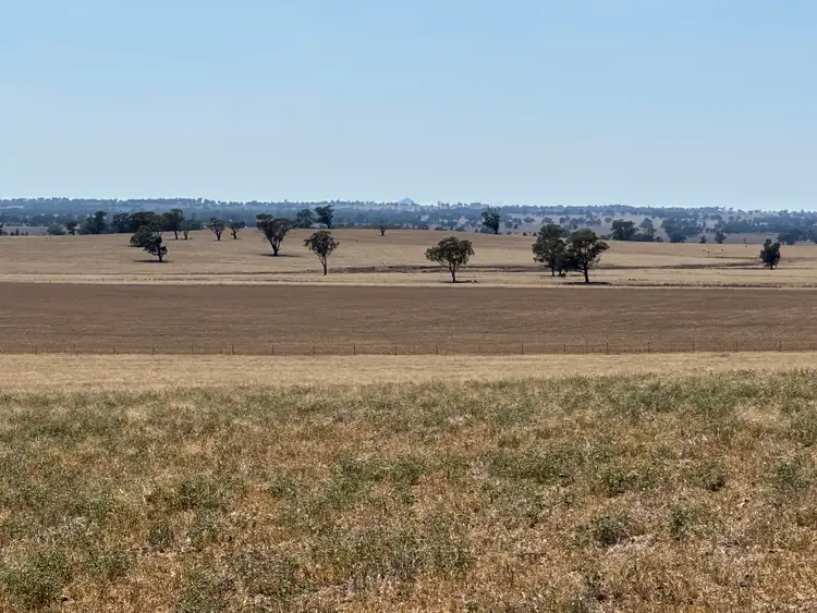 Sixth view of Homely rural property listing, . Albury Road, Lockhart NSW 2656