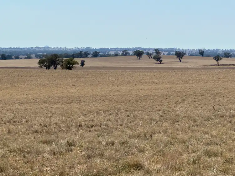 Seventh view of Homely rural property listing, . Albury Road, Lockhart NSW 2656