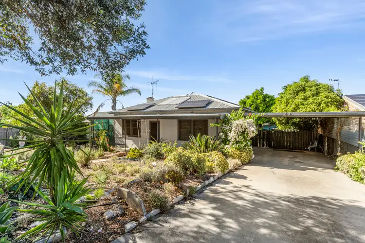 Main view of Homely house listing, 20 Stoeckel Terrace, Paringa SA 5340