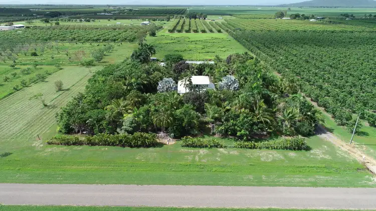 Main view of Homely house listing, 31 Mango Avenue, Horseshoe Lagoon QLD 4809