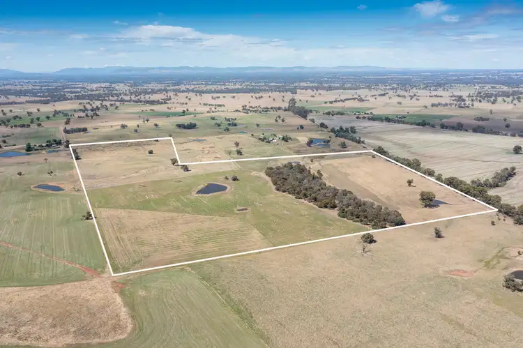 Third view of Homely rural property listing, 646 Old Thoona Road, Goorambat VIC 3725