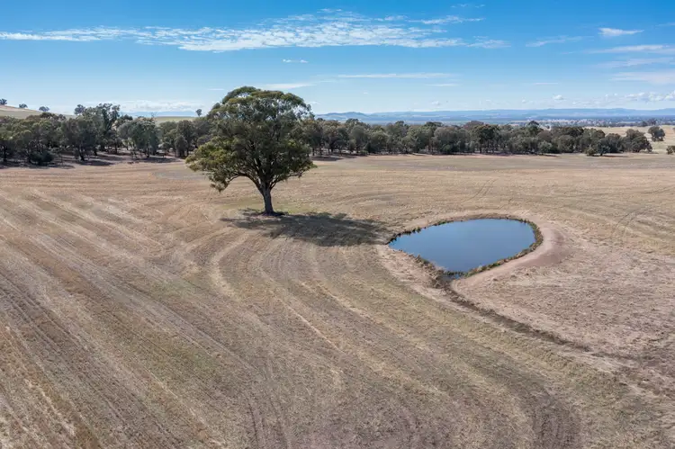 Sixth view of Homely rural property listing, 646 Old Thoona Road, Goorambat VIC 3725