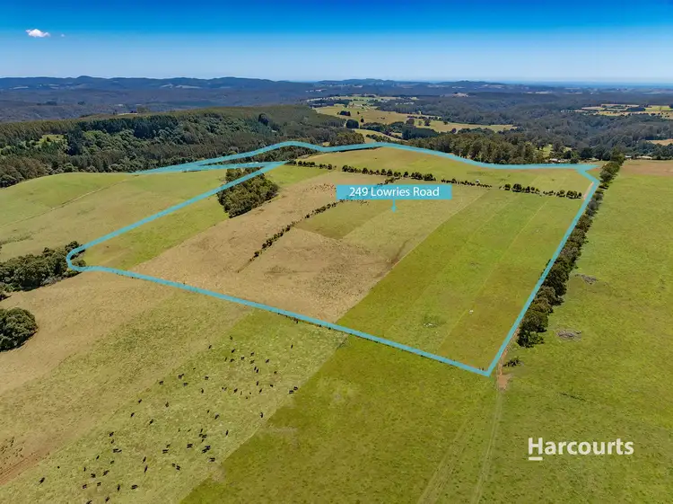 249 Lowries Road, Oldina TAS 7325