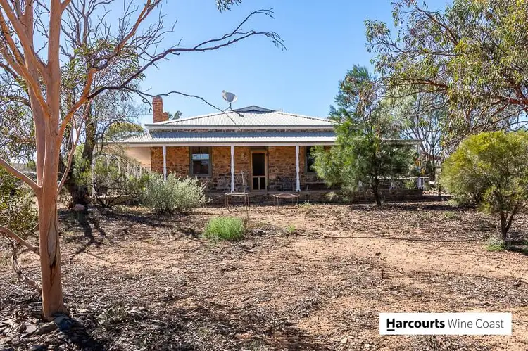 Second view of Homely rural property listing, 9262 Flinders Ranges Way, Hawker SA 5434