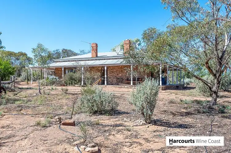 Third view of Homely rural property listing, 9262 Flinders Ranges Way, Hawker SA 5434