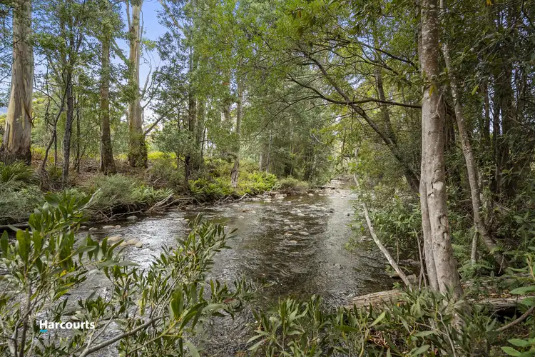 Lot 1 Lonnavale Road, Lonnavale TAS 7109