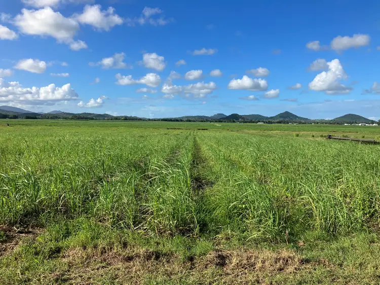 Fourth view of Homely rural property listing, 63 Formosas Road, Pleystowe QLD 4741