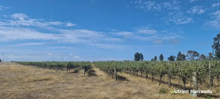 Third view of Homely rural property listing, 267 Spencer Road, Narrikup WA 6326