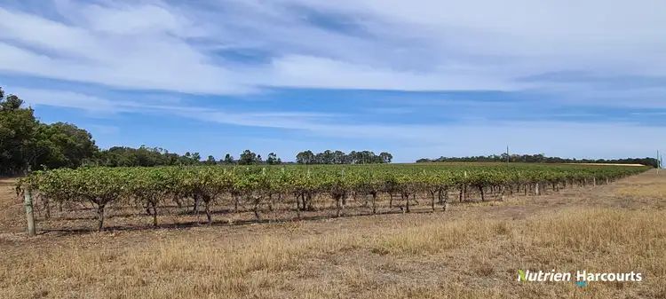 Fourth view of Homely rural property listing, 267 Spencer Road, Narrikup WA 6326